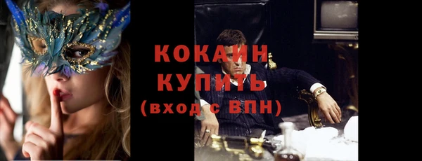 прущий лед Алзамай