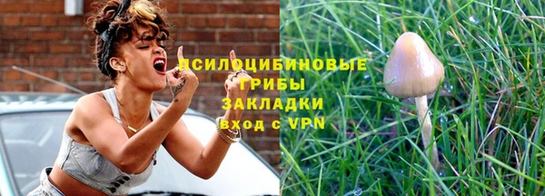 СК Алексеевка