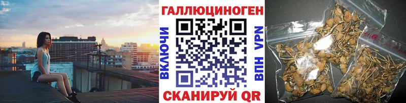 Галлюциногенные грибы GOLDEN TEACHER  мега ссылка  Исилькуль  закладки 